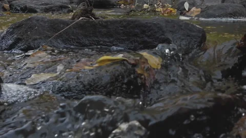 Buky Canyon waterfall deep river valley Hirskyi Tikych Cherkasy Ukraine Stock Footage 220653442