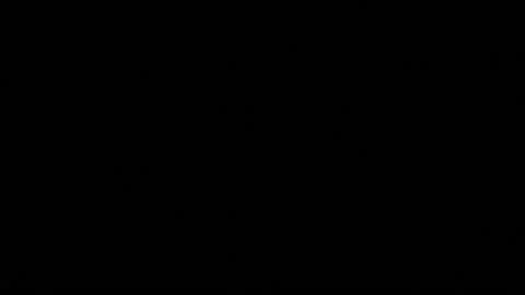 Bulb 3 Stock Footage 161667212