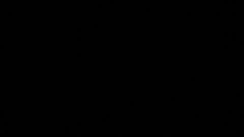 Bulb 4 Stock Footage 161667756