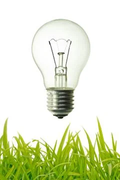 Bulb and grass Stock Photos
