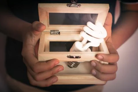 BULB IN A BOX Stock Photos