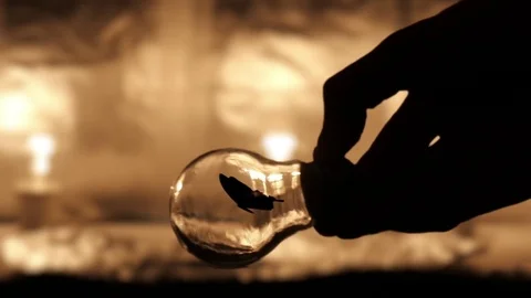 Bulb with Butterfly Inside Stock Footage 74249593