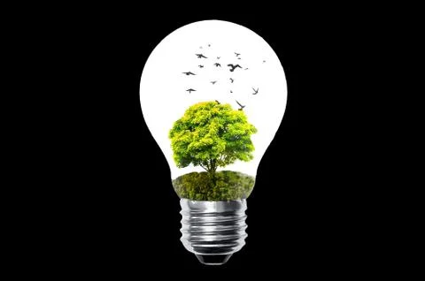 Bulb with concept Stock Illustration