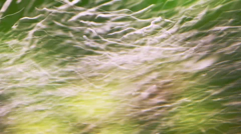 The Bulb Effect in the Aquarium Stock Footage 32150083