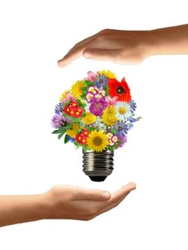 Bulb from  flowers  Stock Photos