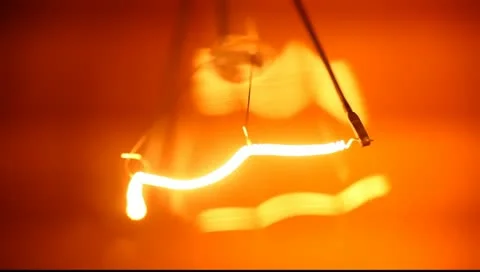 Bulb Stock Footage
