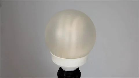 Bulb Stock Footage 77097452