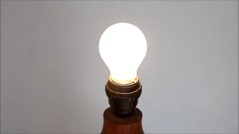 Bulb Stock Footage 77097459