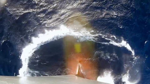 Bulb Stock Footage 87955226