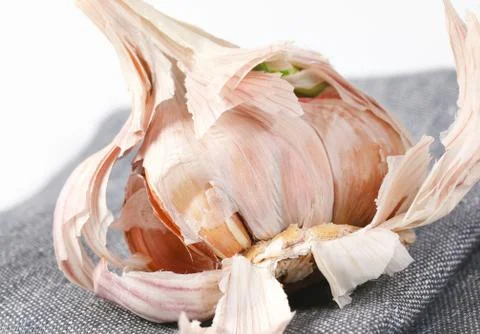 Bulb of fresh garlic Stock Photos