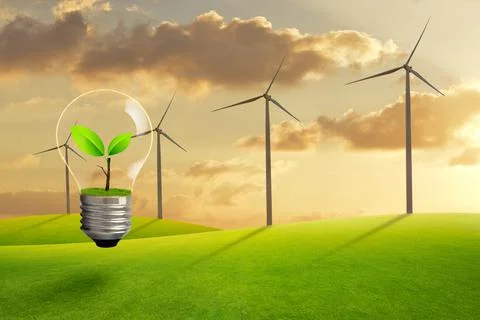 The bulb with fresh green leaf inside on the background of sunset and  wind t Foto stock