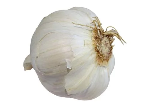 Bulb of garlic isolated on white background Photos