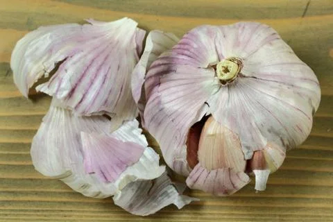Bulb Garlic Stock Photos