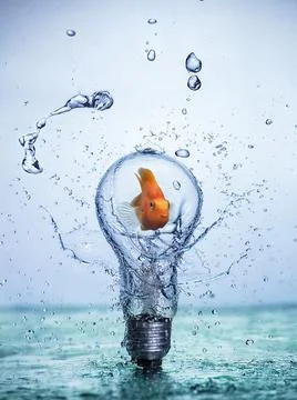 Bulb Led lamp with fish inside with water splashes. Stock Photos