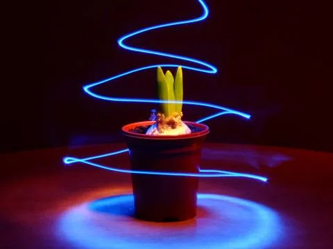 Bulb with light trail Stock Photos