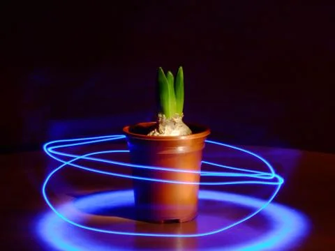 Bulb with light trail Stock Photos