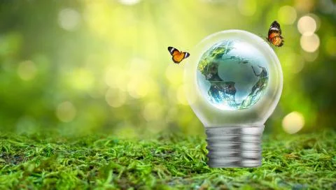 The bulb is located on the inside with leaves forest and the trees are in the Stock Photos