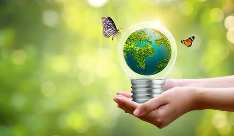 The bulb is located on the inside with leaves forest and the trees are in the Stock Photos