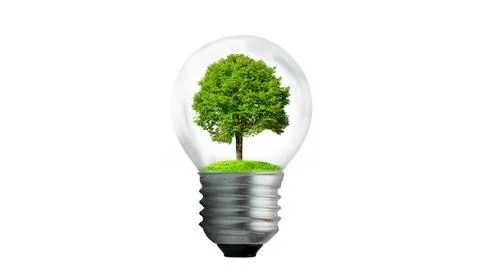 The bulb is located on the inside with leaves forest and the trees are in the Stock Photos