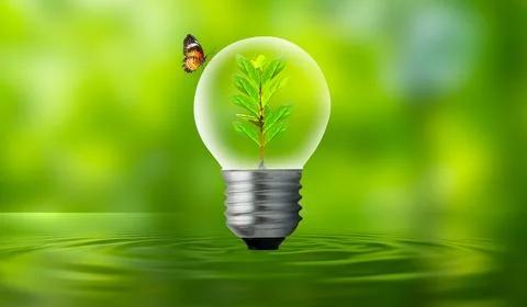 The bulb is located on the inside with leaves forest and the trees are in t.. Stock Photos