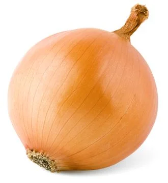 Bulb onion Stock Photos