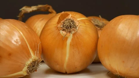 Bulb onion rotates on dark background, close-up shot video Stock Footage 311453568