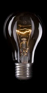 Bulb Stock Photos