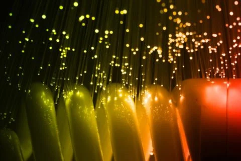 Bulb Stock Photos