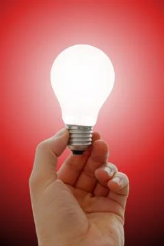 Bulb Stock Photos