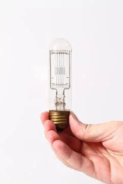 Bulb Stock Photos