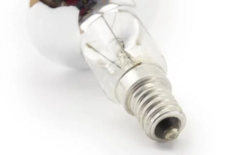 Bulb Stock Photos