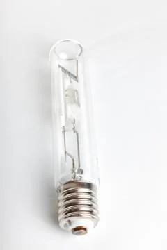 Bulb Stock Photos