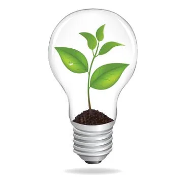 Bulb with sprout Stock Illustration