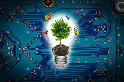 Bulb with a tree on a computer circuit board environment concept. Stock Photos
