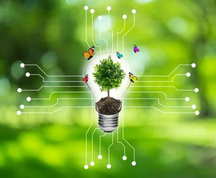 Bulb with a tree on a computer circuit board environment concept. Stock Photos