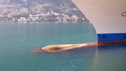 Bulbous bow of a big ship, under and partly above the waterline: bulb-like hull Stock Footage 231293776
