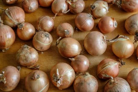 Bulbs are on the table. Stock Photos