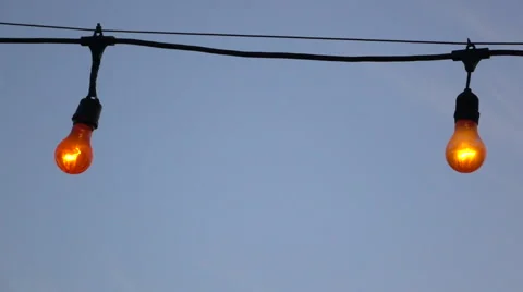 Bulbs on cable Stock Footage 56193884