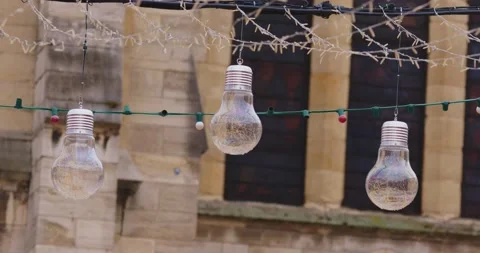 Bulbs Vídeo Stock 167656804