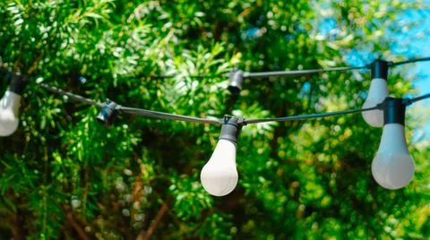 Bulbs hanging on a string outdoors against blurred green garden foliage Stock Photos