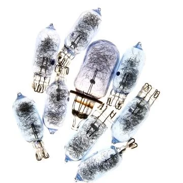 Bulbs isolated on a white background Stock Photos
