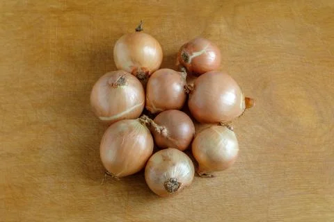 Bulbs lie in the center on the table. Foto stock