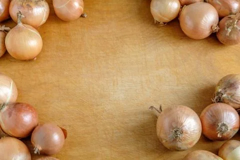 Bulbs lie on the corners on the table. Stock Photos