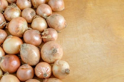 Bulbs lie on the left of the table. Stock Photos