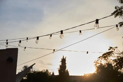 Bulbs on a sunset backroud Stock Photos
