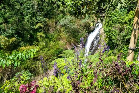 Buleleng - Gitgit Waterfall seen from a distance Stock Photos