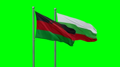 Bulgaria and Malawi flags Video stock 295178657