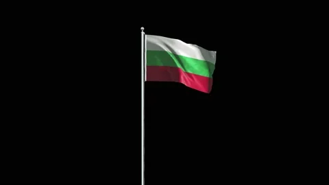 Bulgaria Flag 動画素材 160125731