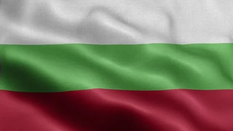 Bulgaria flag Front Stock Footage 318663204