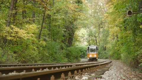 Bulgaria, Sofia - October 2020: A retro yellow tram passing in autumn woods Stock Footage 142961443